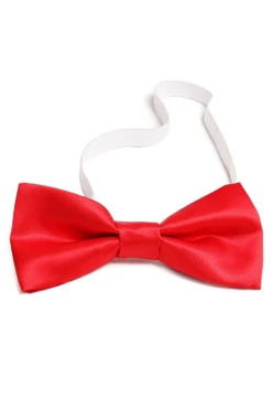 Купить красный галстук-бабочка Эксперт красную