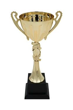 Кубок ИК0076#1