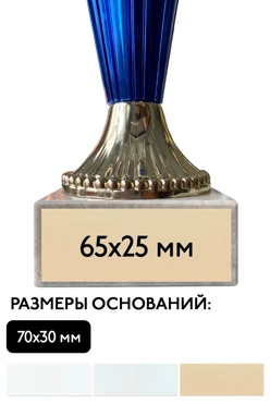 Шильд прямоугольный 65х25 мм#2