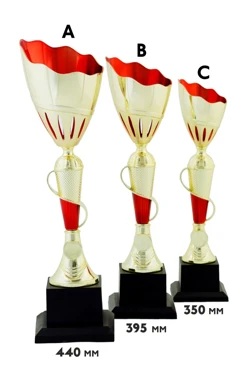 Купить кубок ИК0006