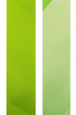 Лента для медали репс ширина 2,5 см с карабином#2