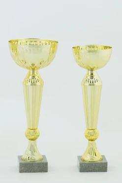 Кубок ИК0019#1